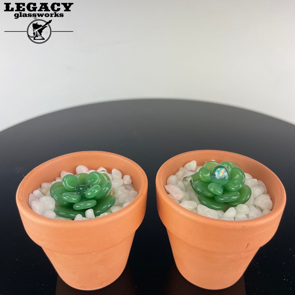 Boro Ballers Plant Pendant