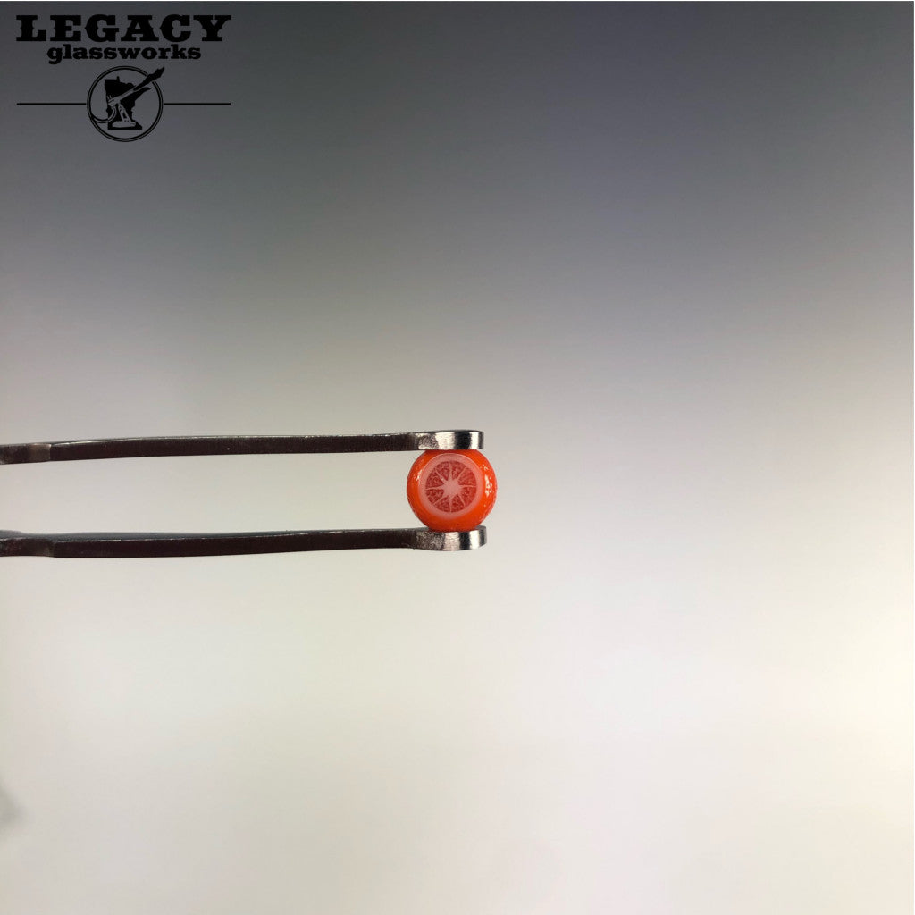 Abigail Castagnaro Terp Pearl