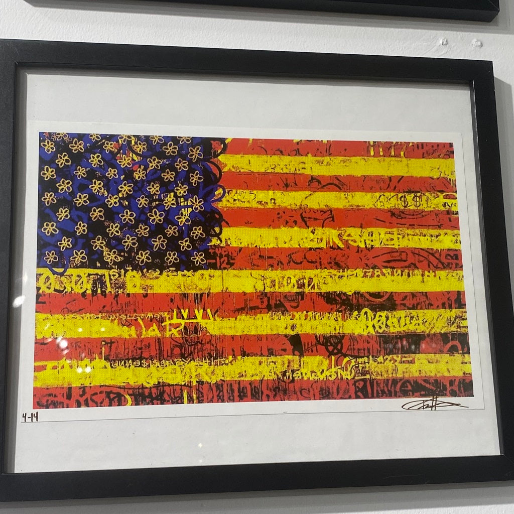 Trace Framed Flag Prints