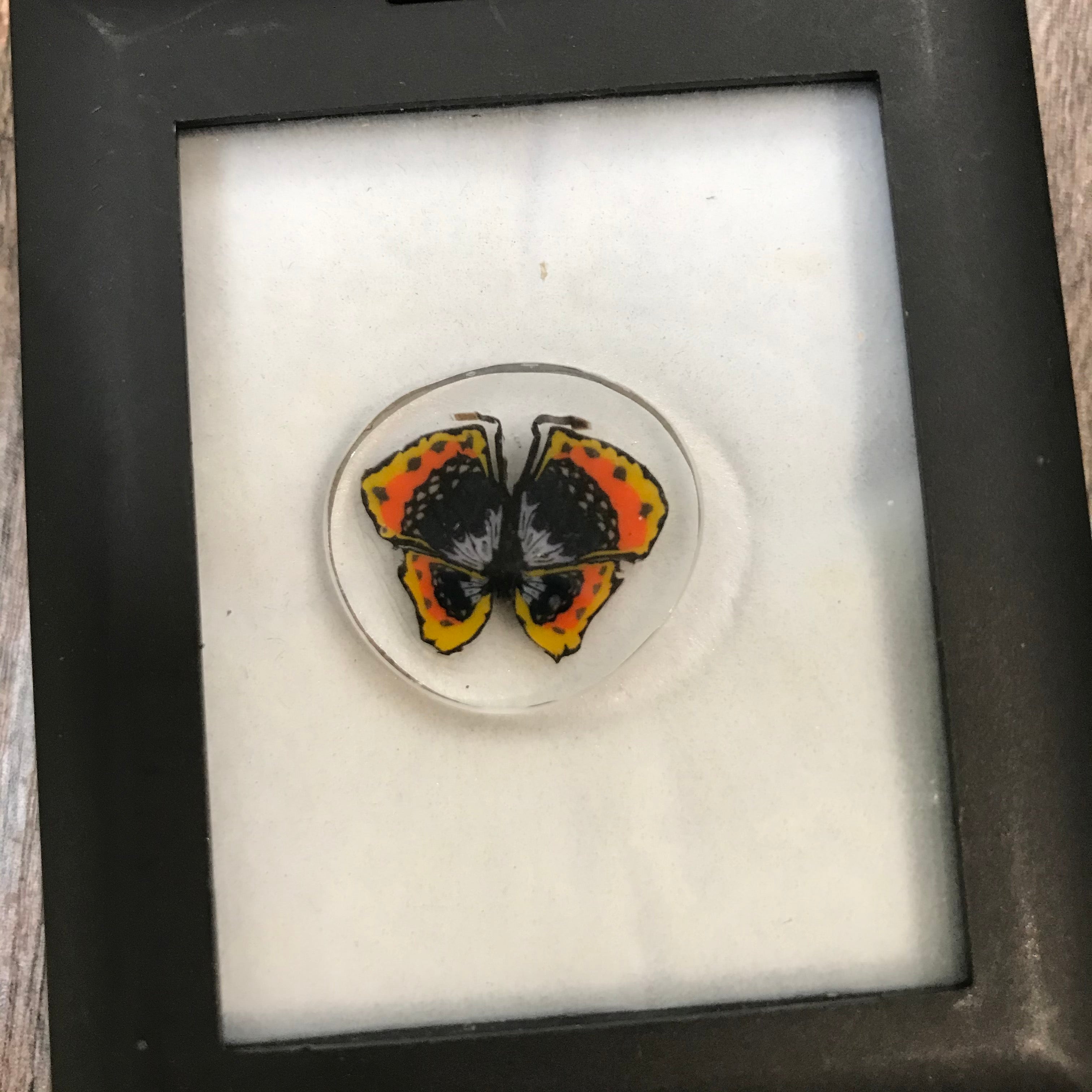 Jes Durfee Polished Millefiori Coins