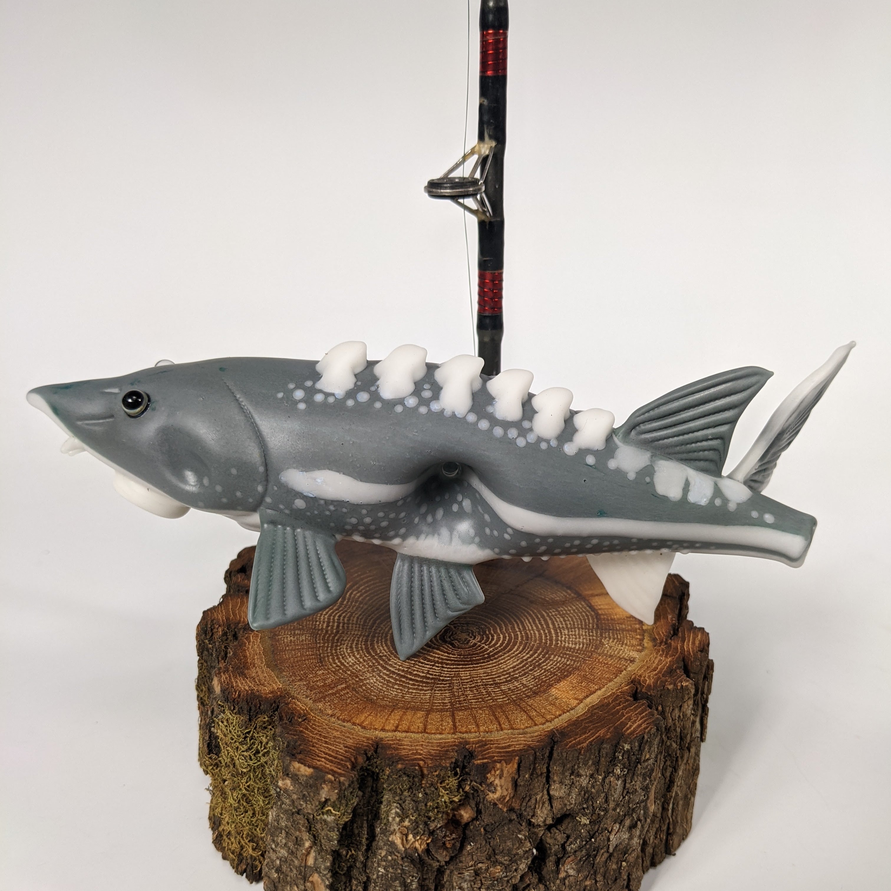 Trapper Studio Full Fish Pipe & Display