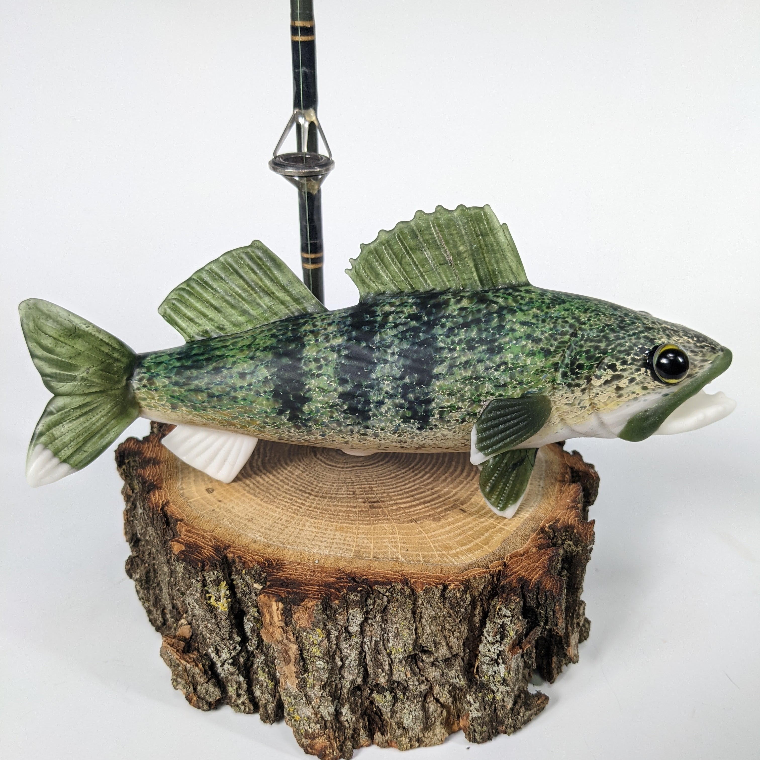 Trapper Studio Full Fish Pipe & Display