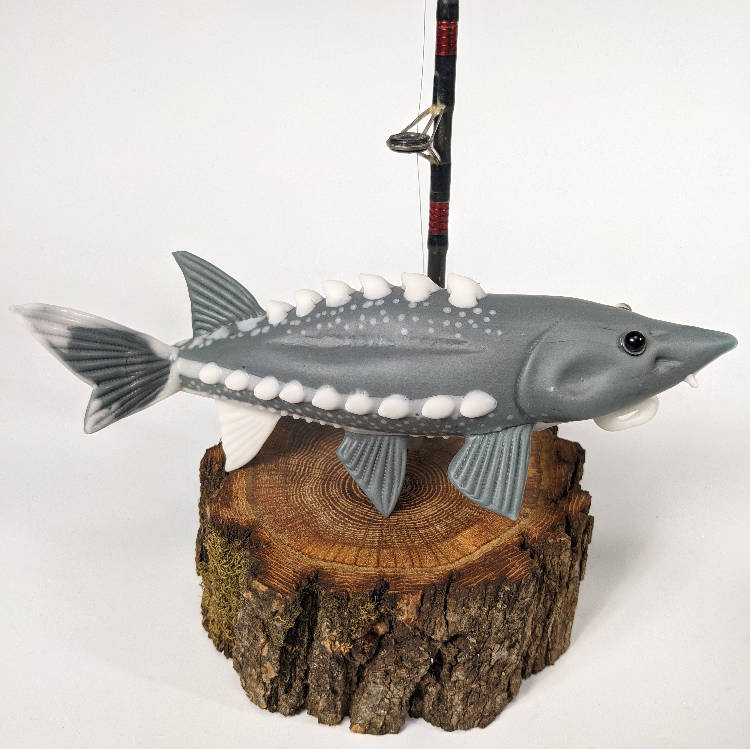 Trapper Studio Full Fish Pipe & Display