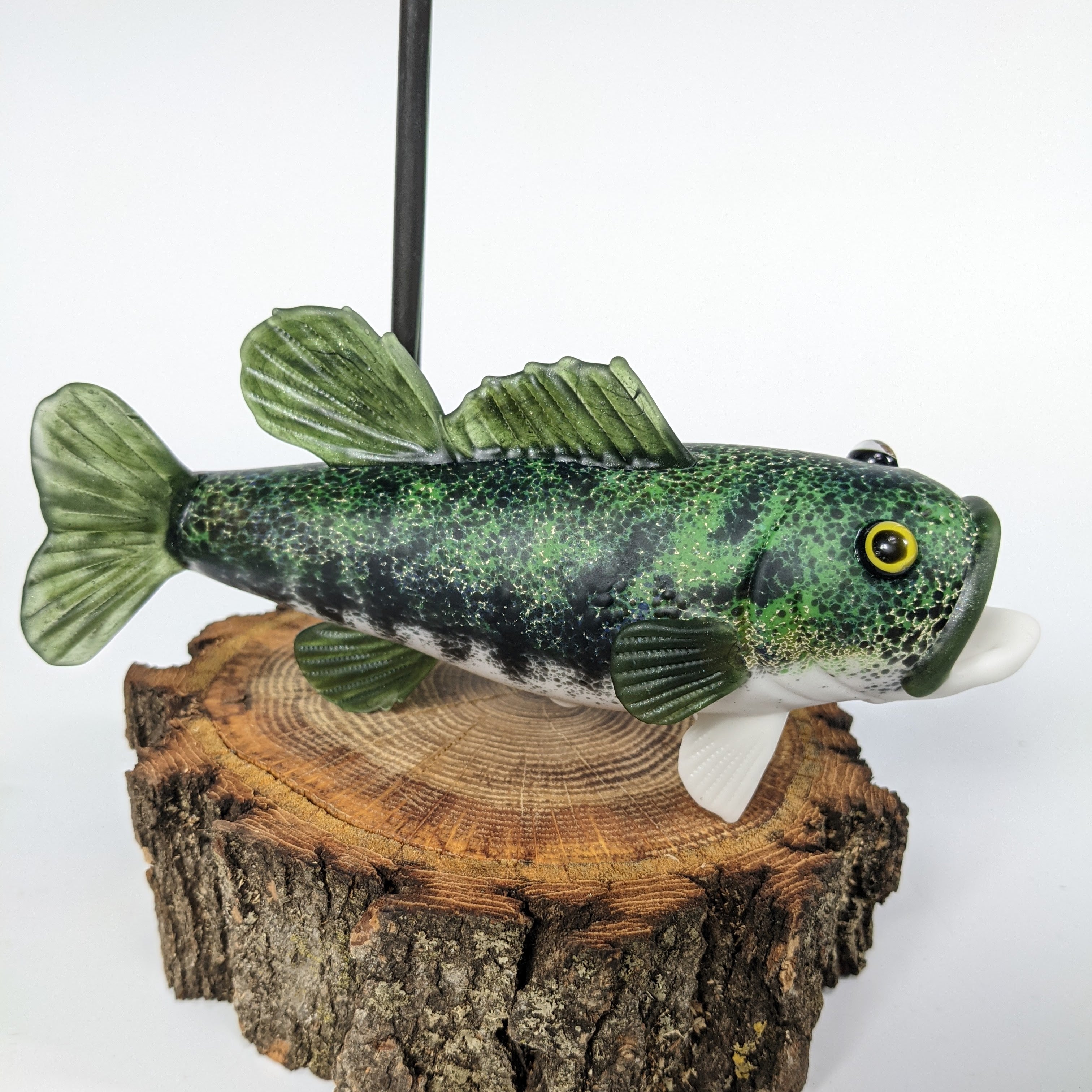 Trapper Studio Full Fish Pipe & Display