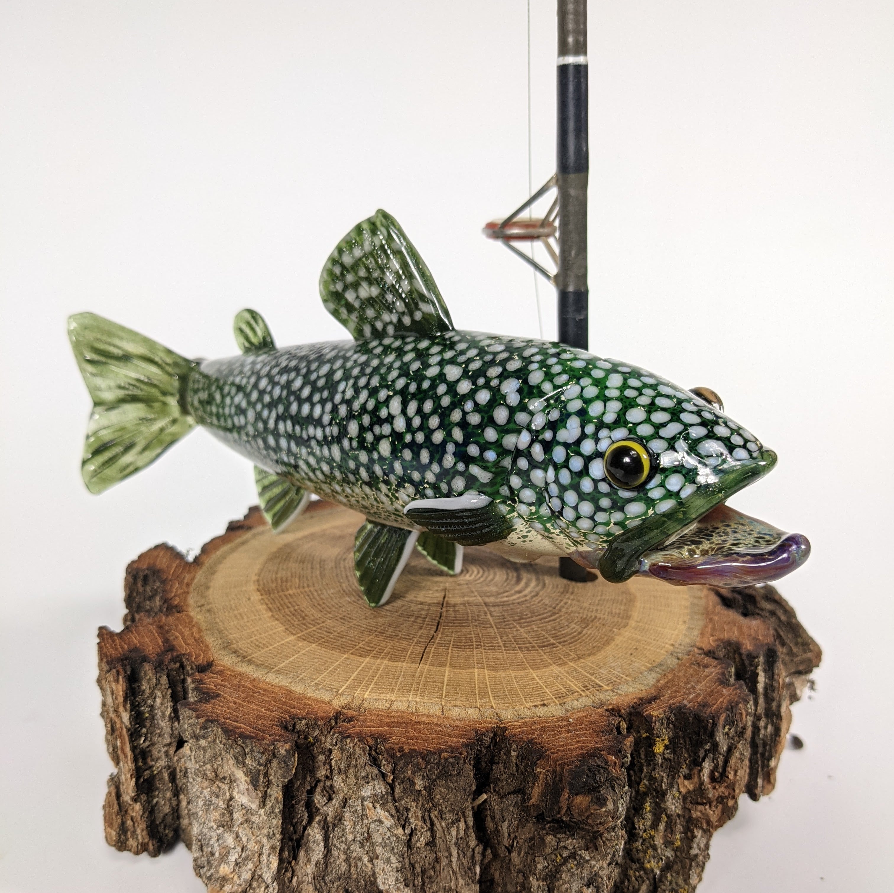 Trapper Studio Full Fish Pipe & Display