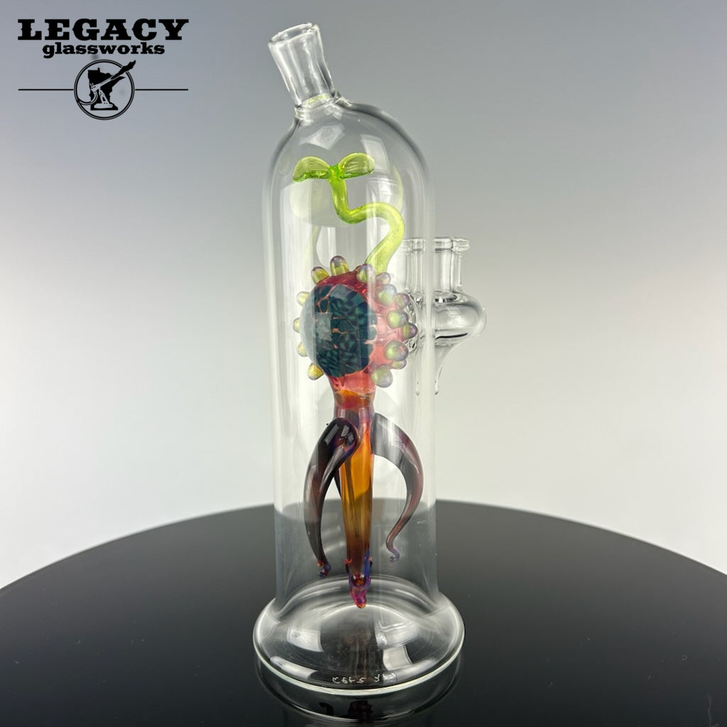 Dan Getz Specimen Rig