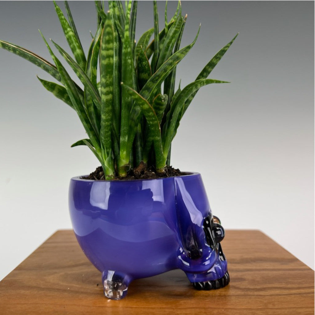 AKM Skull Plant Holder