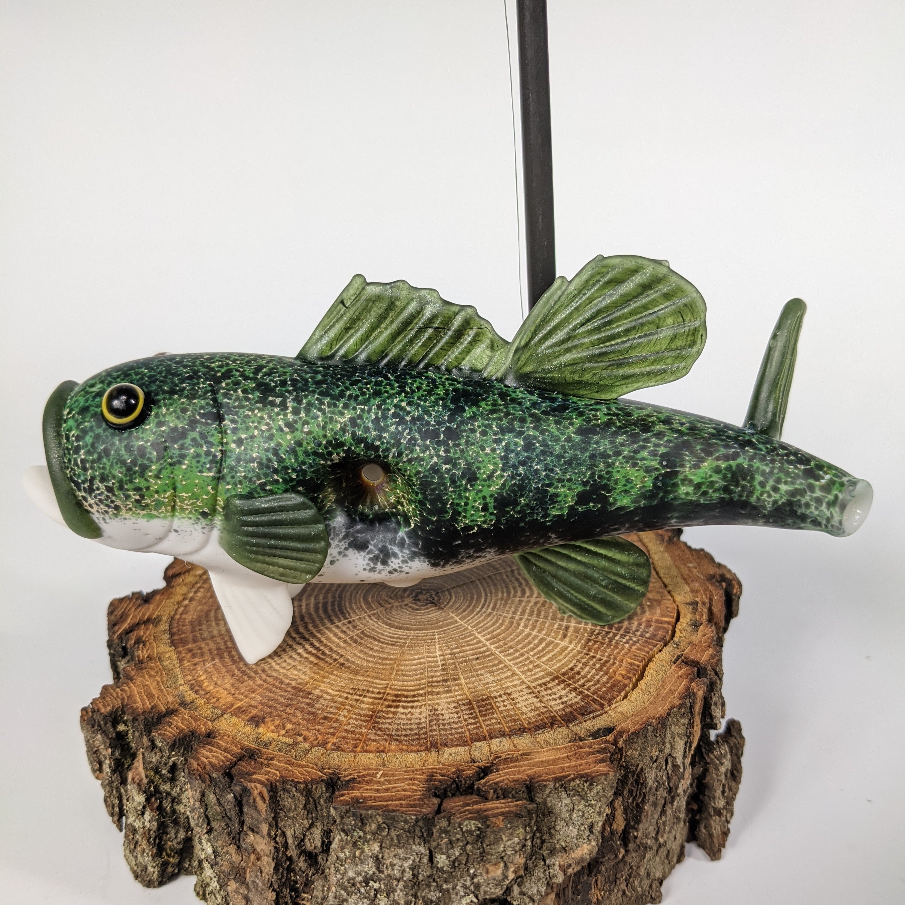 Trapper Studio Full Fish Pipe & Display